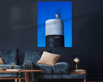 Seagull resting on a pole against a clear sky in the harbour of Lauwersoog by Helene Ketzer