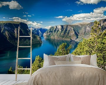 Norway, Aurlands Fjord by Sascha Kilmer