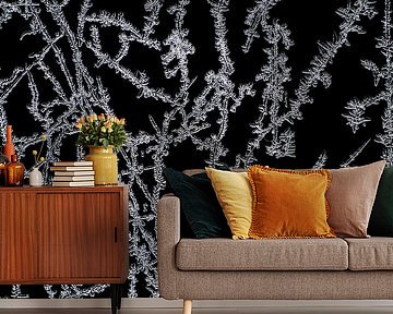 ice-art ice-crystals