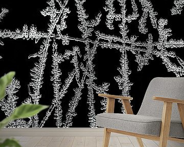 ice-art ice-crystals