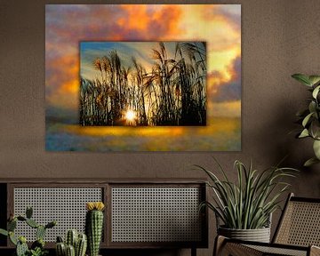 Sunset in the rushes on the lakeshore by Dirk H. Wendt