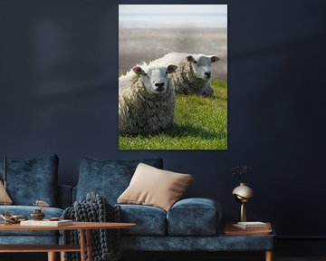 Twee schapen rusten op de zeedijk bij de Waddenzee van Helene Ketzer