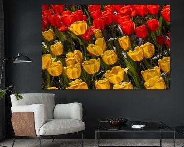 tulpen geel en rood van Corrie Ruijer