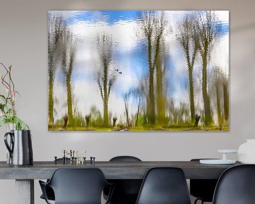 Weerspiegeling met bomen en eendjes van Caroline Drijber