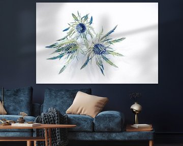 Thistles by Foto Studio Labie