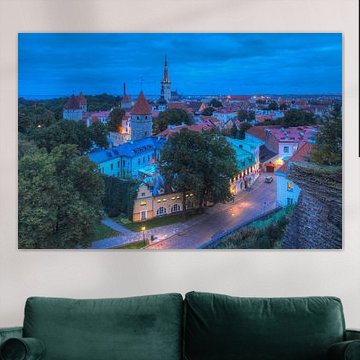 Ausblick vom Domberg auf die Unterstadt, Altstadt mit der Olaikirche oder Oleviste Kirik, und den T�