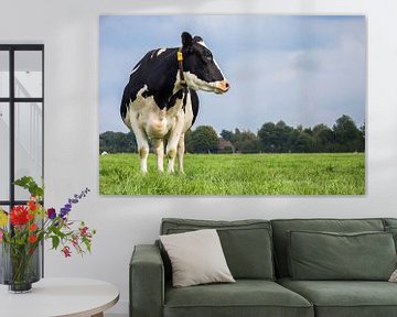 Holstein Black and White Kuh in der niederländischen Landschaft von Marc Venema
