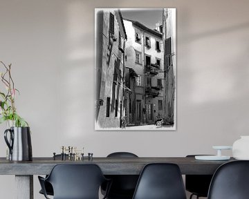 Rue italienne en noir et blanc à Pistoia Italia