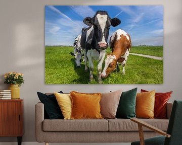 Drie typisch Nederlandse koeien in het landschap van Groningen van Marc Venema