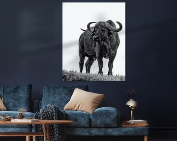 Buffalo by Marije Rademaker