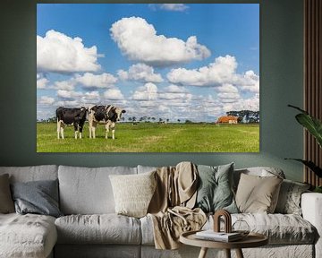 Nederlandse koeien bij een klein boerderijtje in Groningen van Marc Venema