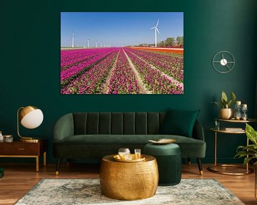 Windmühlen und lila Tulpen im Noordoostpolder von Marc Venema