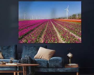 Windmühlen und lila Tulpen im Noordoostpolder von Marc Venema