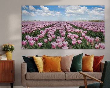 Roze tulpen in een bollenveld in de Noordoostpolder van Marc Venema