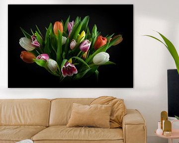 Stillleben Tulpen: Strauß farbiger Tulpen