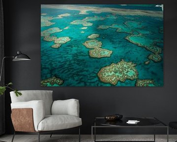 Great Barrier Reef from an airplane by Rowan van der Waal