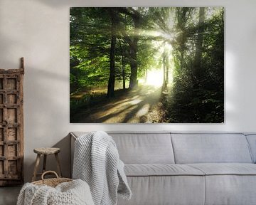 Mooi natuurlijk licht op een pad in een bos van Andreas Berheide Photography