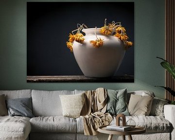 Fleur de marguerite jaune fanée dans un vase blanc sur Andreas Berheide Photography