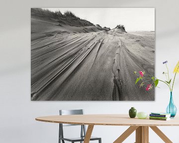 Sand dune on North Sea beach by Schiermonnikoog fotografie