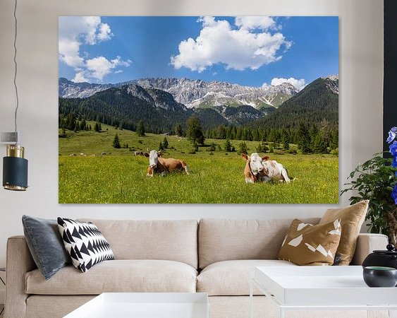 Aperçu de la chambre