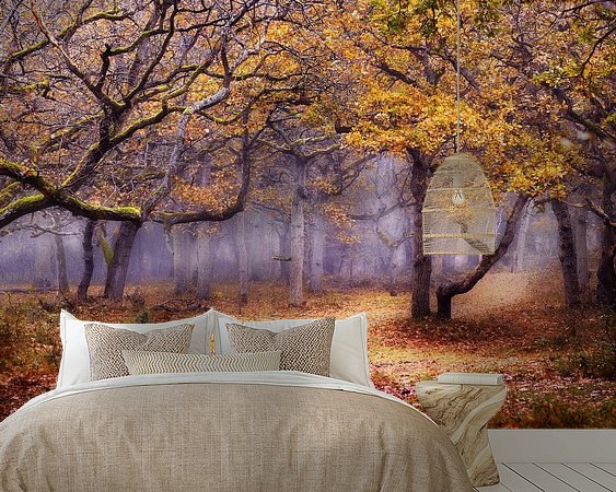 Aperçu de la chambre