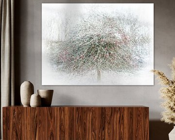 Appelboom in de sneeuw van Guido Rooseleer