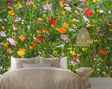Flower meadow with corn poppy in summer by Werner Dieterich