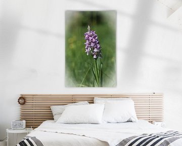 paarse orchidee van Guido Rooseleer