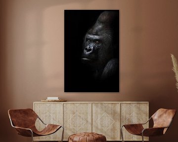 Gevaarlijke gorilla mannetje kijkt half-gedraaid, zwarte achtergrond krachtig mannetje, wrijvende zw van Michael Semenov