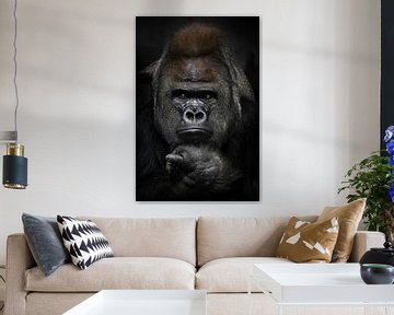 Geërgerd denken met gevouwen handen onder de kin van een sterke mannelijke gorilla, portret close-up van Michael Semenov