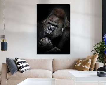 Heavy meditations of a powerful male gorilla with shiny fur and sophisticated gaze portrait on a dar by Michael Semenov