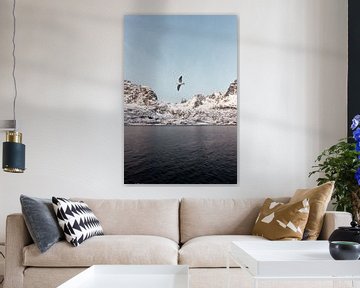 Vogel in Fjord, Noorwegen | Landschapsfotografie Lofoten | Fotoprint natuur sneeuw