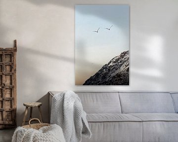 Vogels in vlucht in Noorwegen | Bergen in Lofoten zonsondergang van Dylan gaat naar buiten