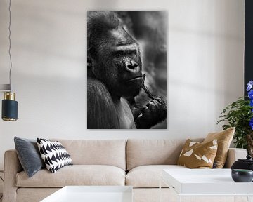 Ruhig und traurig männlichen Gorilla hält einen Zweig, Schwarz-Weiß-Foto in Stahlfarben von Michael Semenov
