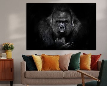 Mannelijke gorilla met volledig gezicht, liggend met krachtige handen die met een twijgje spelen, en