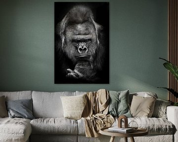 Sombere gedachten van een machtige mannelijke gorilla over ecologie en uganda, zwart-wit foto, zwart van Michael Semenov