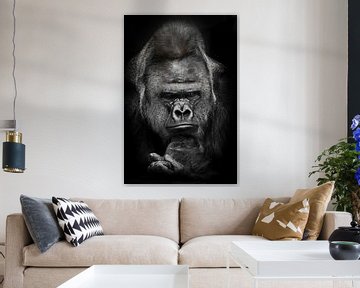 Gloomy thoughts of a powerful male gorilla about ecology and uganda, black and white photo, black ba by Michael Semenov
