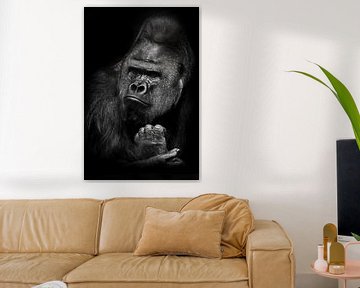 De sceptische pose van de gorillabaas, het mannetje spreekt van twijfel en bedachtzaamheid, een half