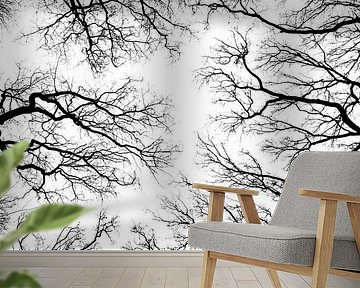 trees silhouette by Klaartje Majoor