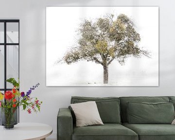winterse boom met maretak van Guido Rooseleer