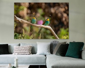 Bee-Eaters by gea strucks