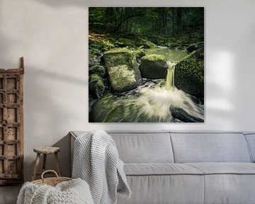 Kleiner Wasserfall in traumhaft schönem Wald von Robert Ruidl