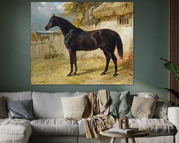 Black Horse