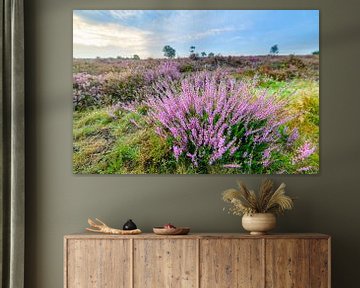 Blühende Heidekrautpflanzen im Naturschutzgebiet Veluwe von Sjoerd van der Wal