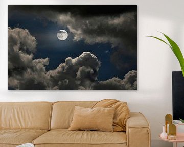 Volle maan van Corinne Welp