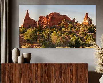 Parc d'État de Kodachrome Basin, Utah sur Henk Meijer Photography