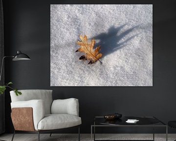Eichenblatt im Schnee von Rick Kloekke