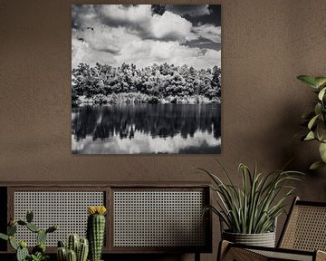 Zwart-wit landschapsfotografie van JBJart Justyna Jaszke