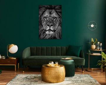 Löwen: Porträt eines Löwen in Schwarz und Weiß