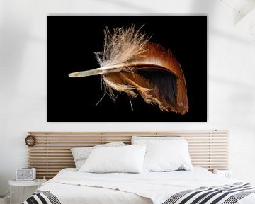 Macro shot of a brown chicken feather by Hans-Jürgen Janda